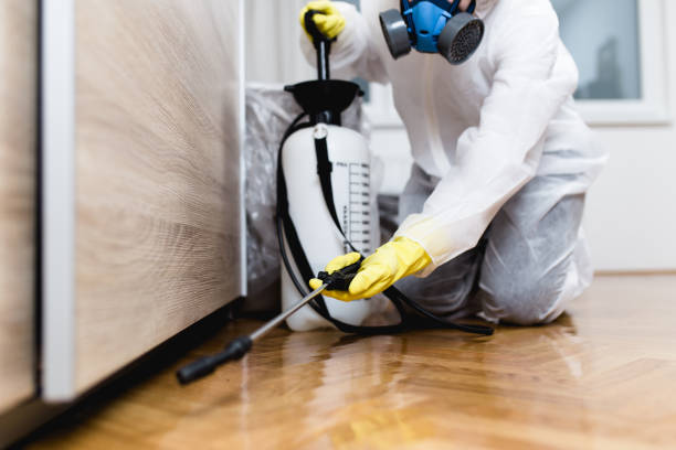 Wasp Removal Services in Quartz Hill, CA