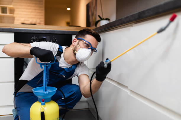 Best Affordable Pest Control Services  in Quartz Hill, CA