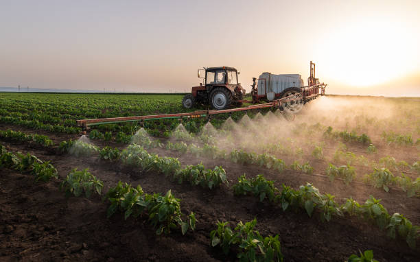 Best Pest Prevention Services  in Quartz Hill, CA