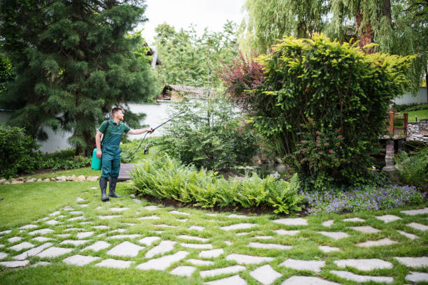 Best Local Pest Control Services  in Quartz Hill, CA
