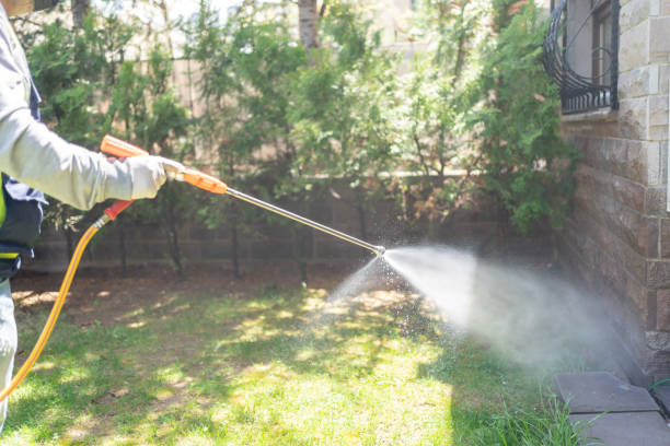 Professional Pest Control in Quartz Hill, CA