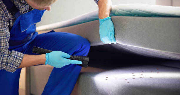 Best Ant Control Services  in Quartz Hill, CA