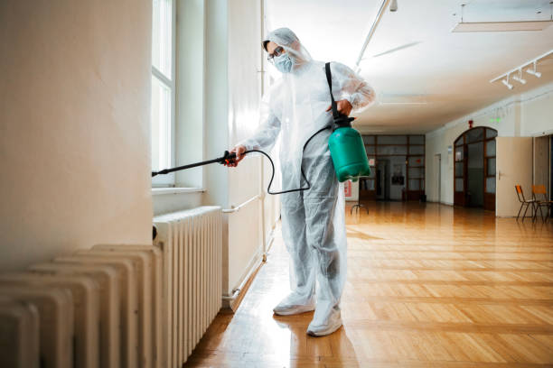 Best Bed Bug Extermination  in Quartz Hill, CA